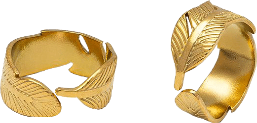 anillos